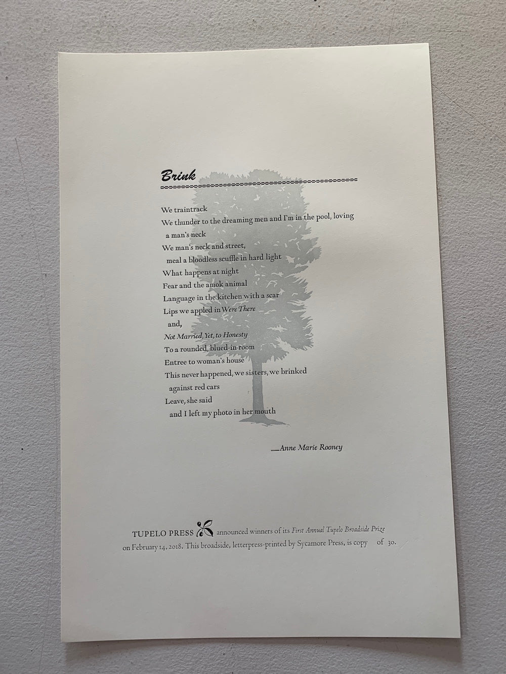 Brink – Broadside - by Anne Marie Rooney